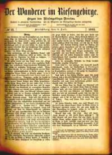 Der Wanderer im Riesengebirge, 1882, nr 12
