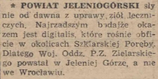 Powiat jeleniogórski