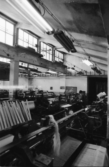 Lubańskie Zakłady Przemysłu Bawełnianego, oddział w Gryfowie Śląskim (fot. 3) [Dokument ikonograficzny]