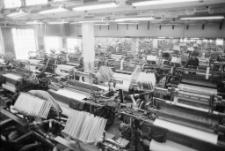 Lubańskie Zakłady Przemysłu Bawełnianego, oddział w Gryfowie Śląskim (fot. 4) [Dokument ikonograficzny]
