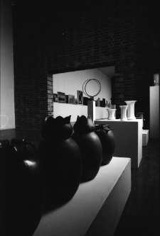 Dni Kultury Polskiej w Dreźnie - wystawa (fot. 4) [Dokument ikonograficzny]