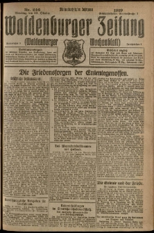 Waldenburger Zeitung, Jg. 65, 1919, nr 246