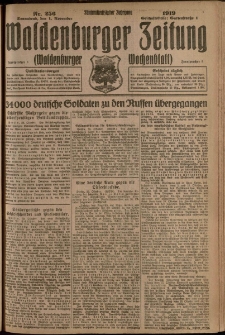 Waldenburger Zeitung, Jg. 65, 1919, nr 256