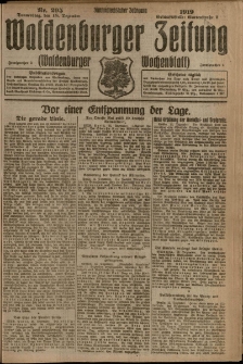 Waldenburger Zeitung, Jg. 65, 1919, nr 295
