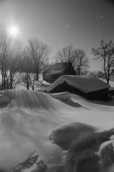 Zabudowania w Dziwiszowie (fot. 2) [Dokument ikonograficzny]