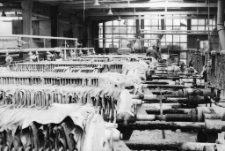 Kopalnie Surowców Mineralnych "Surmin- Kaolin" (fot. 1) [Dokument ikonograficzny]