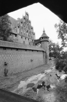 Zamek w Malborku (fot. 2) [Dokument ikonograficzny]
