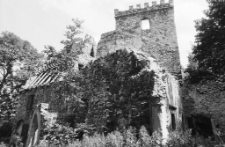 Zamek Lipa (fot. 1) [Dokument ikonograficzny]