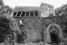 Zamek Lipa (fot. 2) [Dokument ikonograficzny]