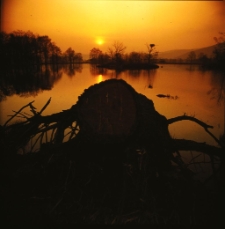 Podgórzyn - Bocianie gniazdo (fot. 2) [Dokument ikonograficzny]