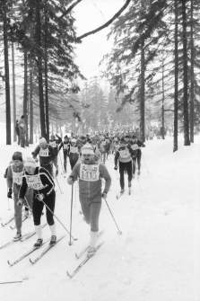 XIII Bieg Piastów (fot. 5) [Dokument ikonograficzny]