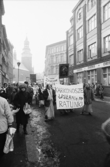 Jelenia Góra - protest przeciwko budowie kopalni w Czarnowie (fot. 2) [Dokument ikonograficzny]