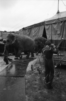 Cyrk Wielki na Zabobrzu (fot. 1) [Dokument ikonograficzny]