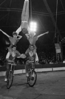 Cyrk Wielki na Zabobrzu (fot. 5) [Dokument ikonograficzny]