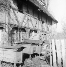 Zlikwidowana wieś Wigancice Żytawskie (fot. 5) [Dokument ikonograficzny]