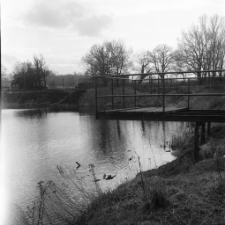 Jelenia Góra - stawy przy ulicy Władysława Orkana (fot. 1) [Dokument ikonograficzny]