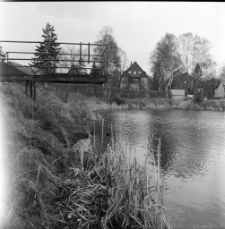 Jelenia Góra - stawy przy ulicy Władysława Orkana (fot. 2) [Dokument ikonograficzny]