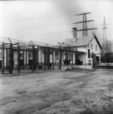 Jelenia Góra - schronisko dla zwierząt (fot. 2) [Dokument ikonograficzny]