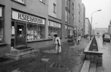 Lwówek Śląski (fot. 1) [Dokument ikonograficzny]