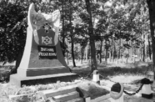 Świętoszów - Cmentarz Żołnierzy Rosyjskich (fot. 2) [Dokument ikonograficzny]