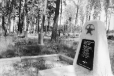 Świętoszów - Cmentarz Żołnierzy Rosyjskich (fot. 3) [Dokument ikonograficzny]