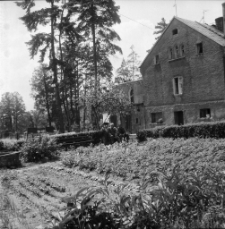 Jelenia Góra - cmentarz komunalny (fot. 5) [Dokument ikonograficzny]