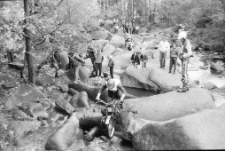 37. Rajd Sudecki Trial (fot. 6) [Dokument ikonograficzny]