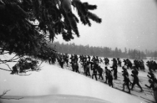 XI Bieg Piastów 1987 (fot. 4) [Dokument ikonograficzny]