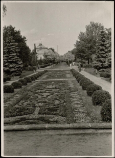 Dywan kwiatowy w Ciechocinku [Dokument ikonograficzny]