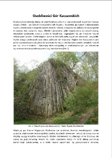 Osobliwości Gór Kaczawskich