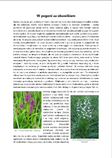 W pogoni za obuwikiem