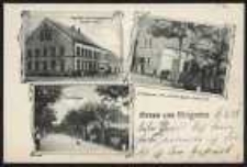 Gruss aus Weigwitz [Dokument ikonograficzny]