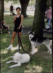 Wystawa Psów Rasowych [1] [Dokument ikonograficzny]