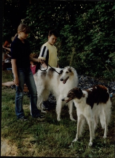 Wystawa Ps&oacute;w Rasowych [2] [Dokument ikonograficzny]