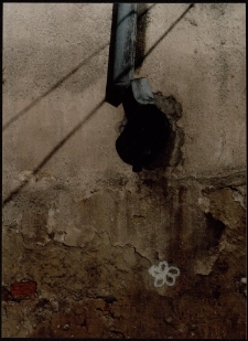 "XXX" [Dokument ikonograficzny]