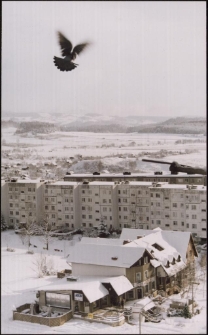 Lot nad Zabobrzem [Dokument ikonograficzny]