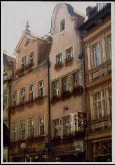 Metamorfoza [3] [Dokument ikonograficzny]