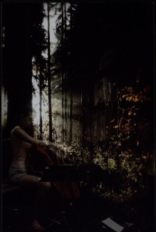 Jesienna Muza Jeleniej Góry [Dokument ikonograficzny]