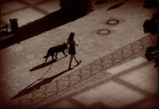 Plac rankiem 3 [Dokument ikonograficzny]