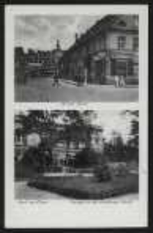 Gruss aus Ohlau – Briegerstraße, Anlagen an der Grottkauer Straße [Dokument ikonograficzny]