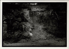 Piknik przy Kilińskiego [1] [Dokument ikonograficzny]