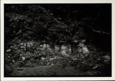 Piknik przy Kilińskiego [2] [Dokument ikonograficzny]