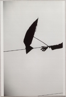 "***" [1] [Dokument ikonograficzny]