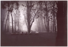 Cieplicka magia [Dokument ikonograficzny]