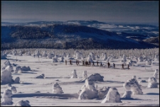 Wędrowcy [Dokument ikonograficzny]