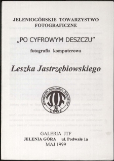 "Po cyfrowym deszczu" - Fotografia komputerowa Leszka Jastrzębiowskiego - folder [Dokument Życia Społecznego]