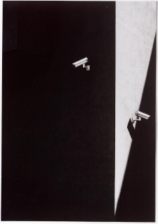 [Fotografia - wyr&oacute;żnienie] [Dokument ikonograficzny]