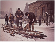 [Fotografia - wyr&oacute;żnienie] [Dokument ikonograficzny]