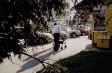 Zabobrze II latem [2] [Dokument ikonograficzny]