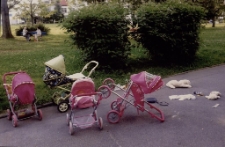 Zabobrze II latem [3] [Dokument ikonograficzny]